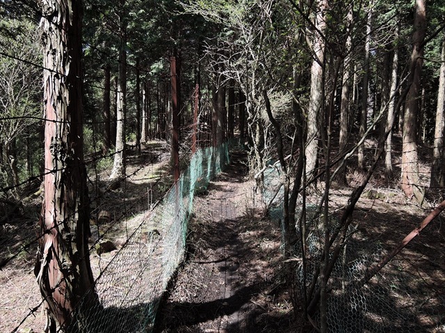 DSCN4880_R
