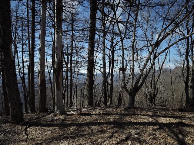 DSCN3991_R