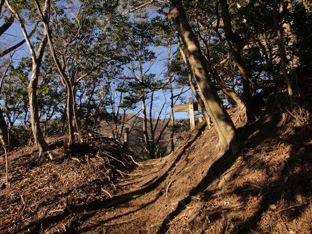 DSC00846_R