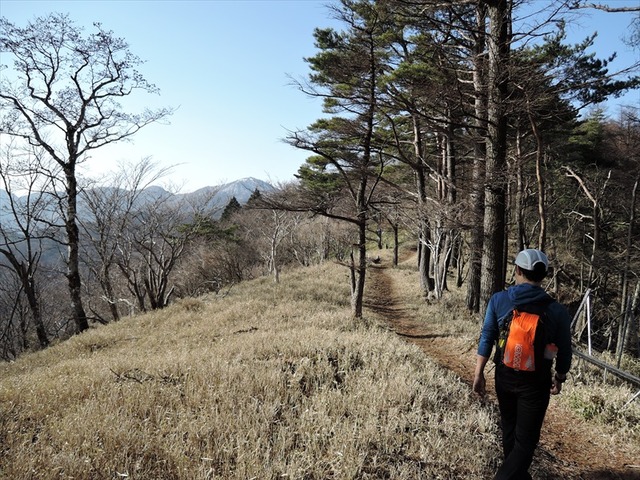 DSCN0558_R