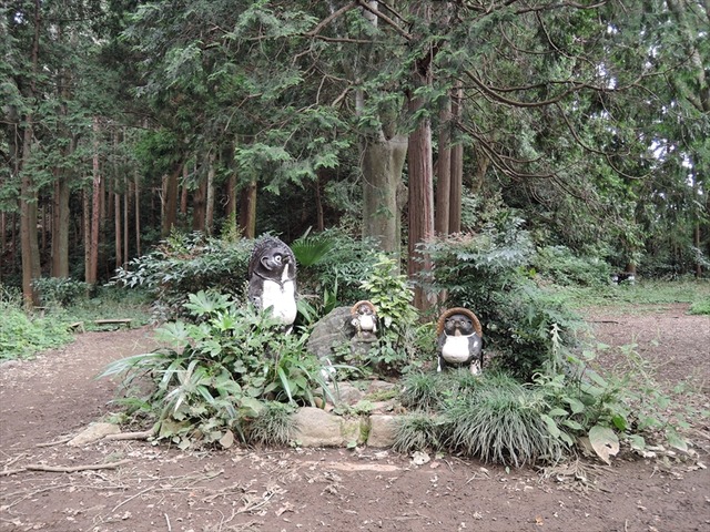 DSCN3267_R