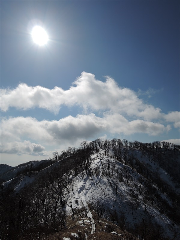 DSCN0326_R