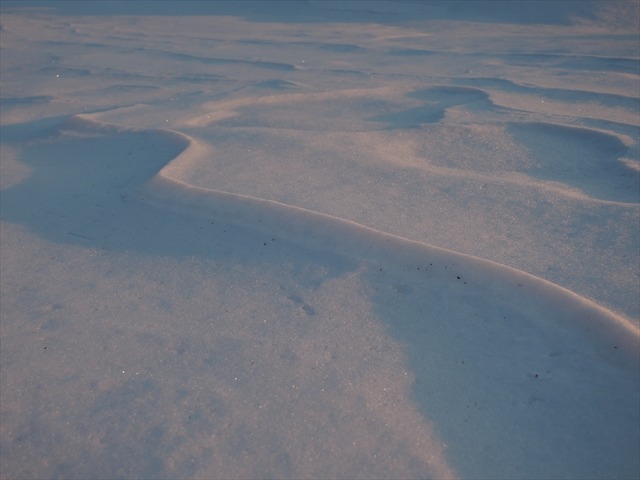 DSCN9728_R
