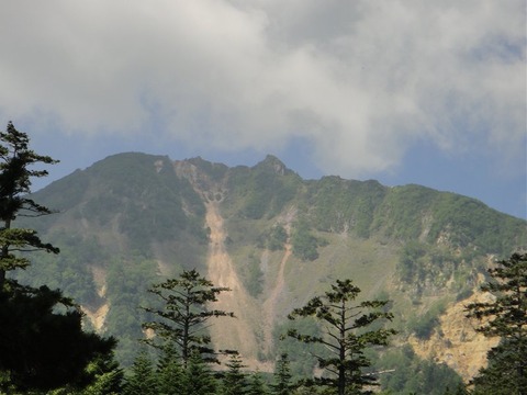 DSC04960
