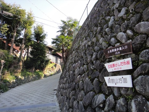 DSC06754_R