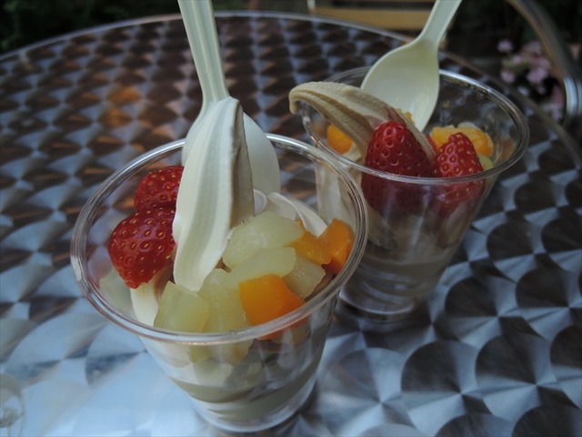 DSCN4969_R