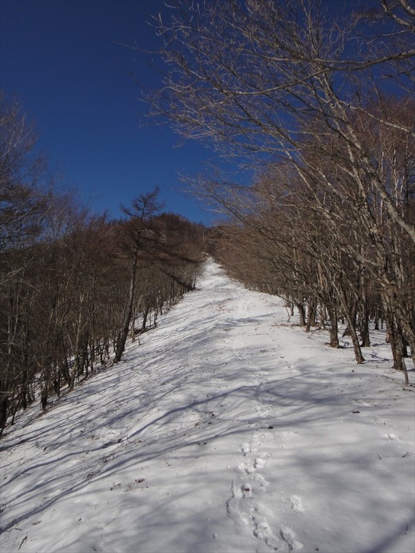 DSC00604_R