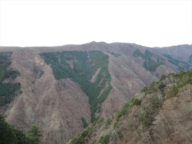 DSCN9348_R