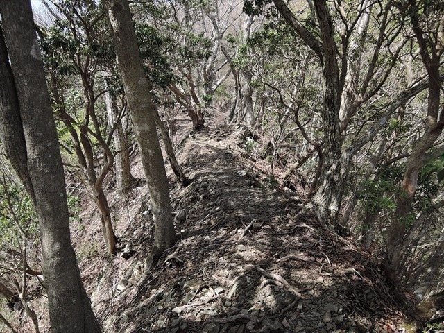DSCN4881_R