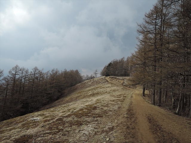 DSCN1434_R