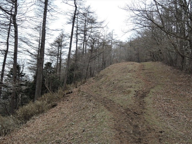 DSCN1415_R