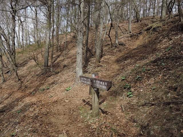 DSCN7494_R