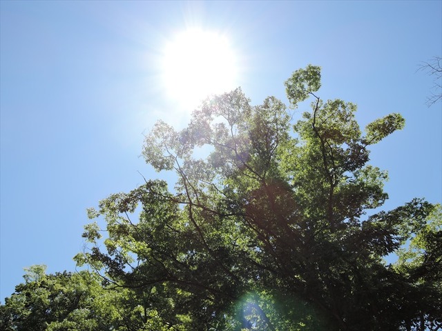 DSCN2261_R