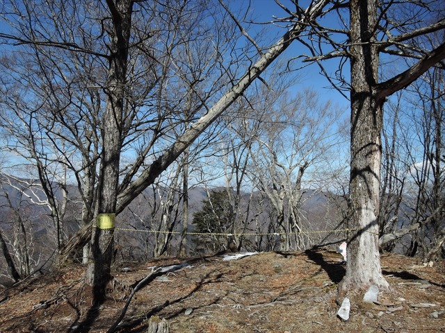 DSCN4004_R