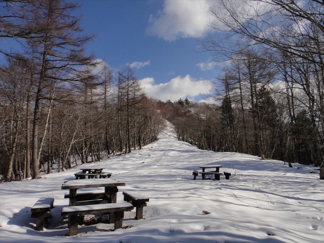 DSC00595_R