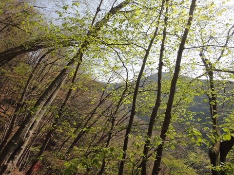 DSC07062_R