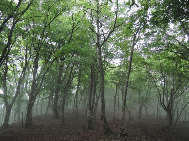 DSCN1716_R