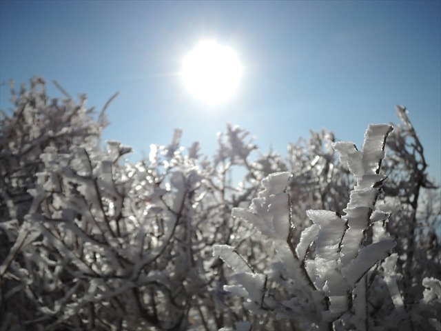 DSCN3791_R