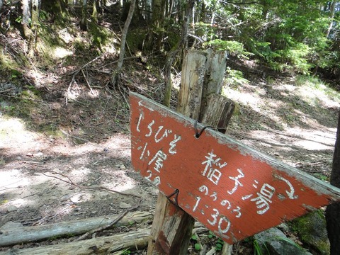 DSC04949