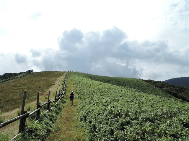 DSCN7810_R