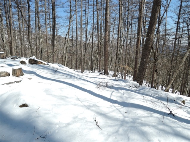 DSCN9653_R