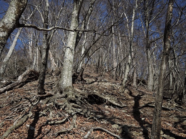 DSCN3985_R