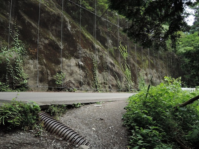 DSCN5468_R