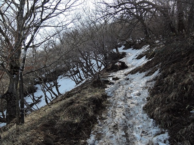 DSCN0599_R