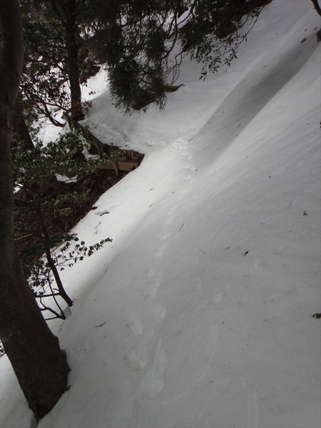 DSC06447_R