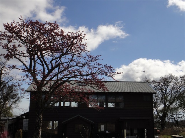 DSC09730_R