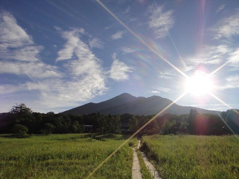 DSC08509_R