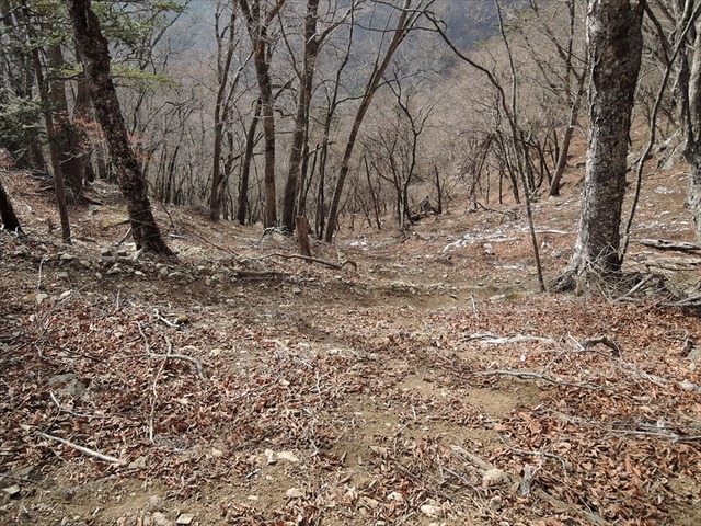 DSCN3633_R