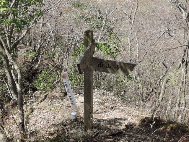 DSCN4887_R