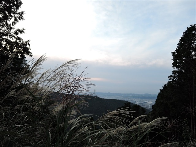 DSCN3016_R