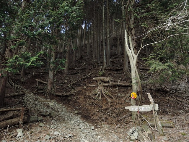 DSCN7104_R
