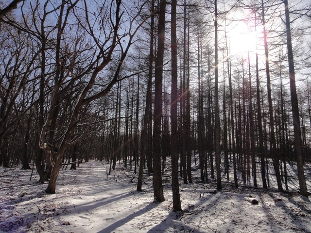 DSC00339_R