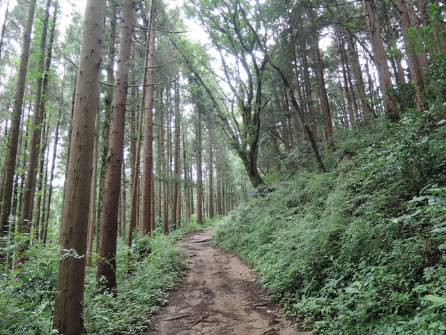 DSCN4206_R