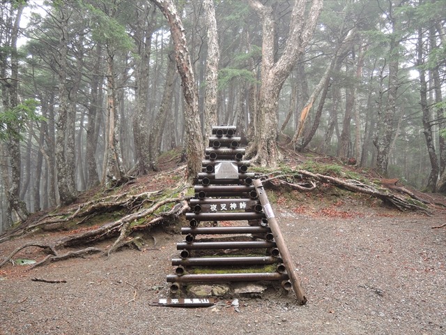 DSCN3387_R