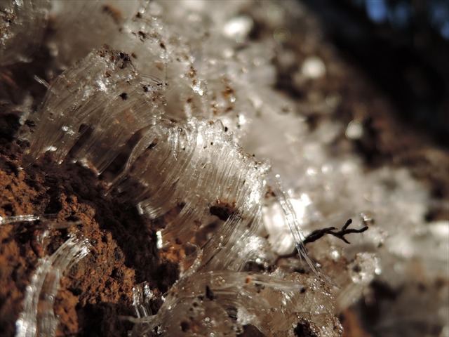 DSCN4546_R
