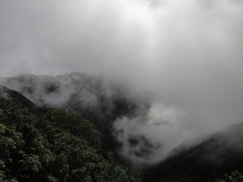 DSC08882_R