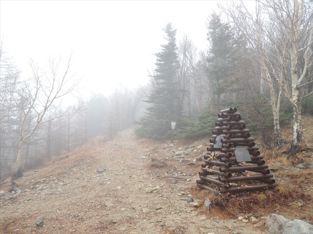 DSCN3378_R