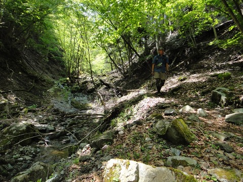 DSC07429_R