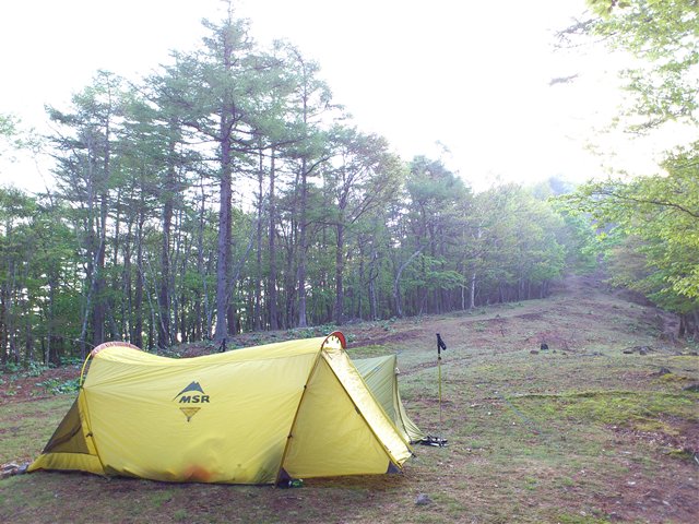 MSR スキニー2 MSR Skinny Too Tent 2-Person 3- Season - Hike & Camp