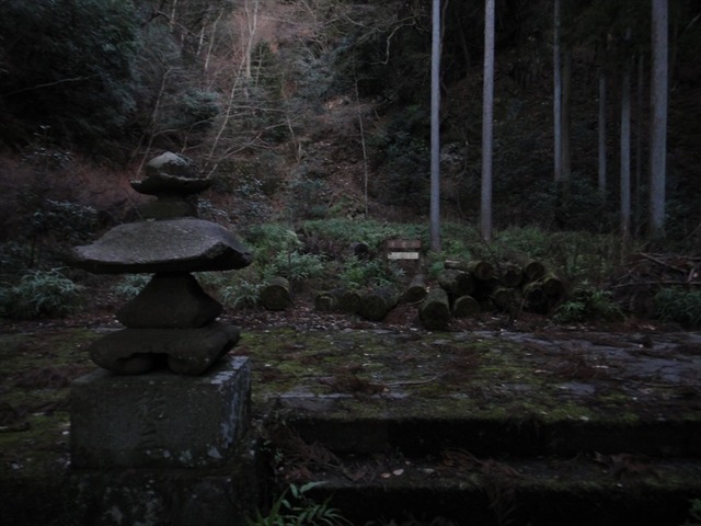 DSC00804_R