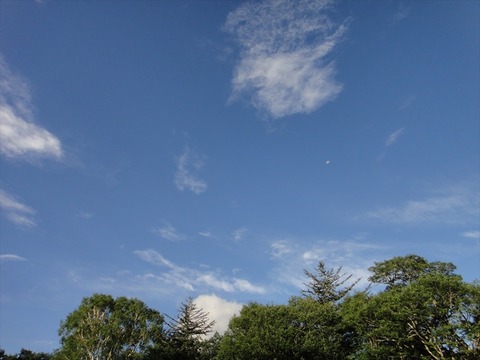 DSC08502_R