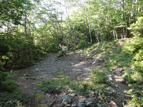 DSC07897_R