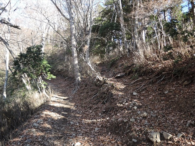 DSCN6464_R