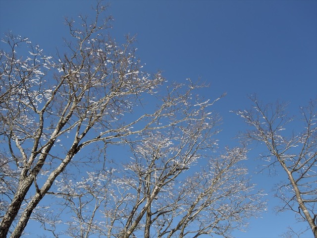 DSCN0333_R