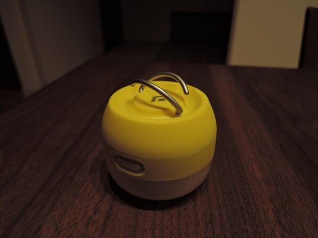 DSCN0509_R