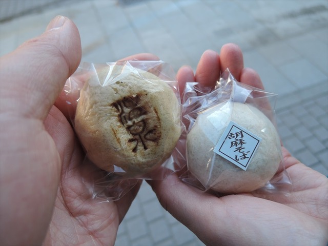 DSCN4448_R
